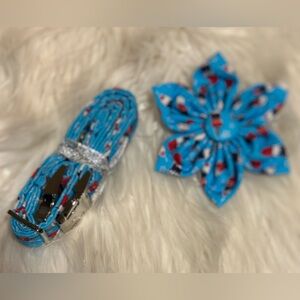 Blue and Red collar and bow